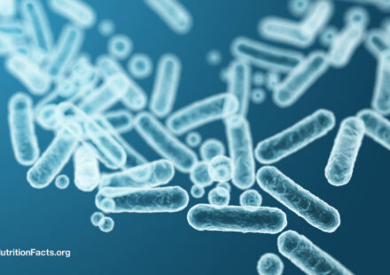 Feeding Our Gut Microbiome for Better Health