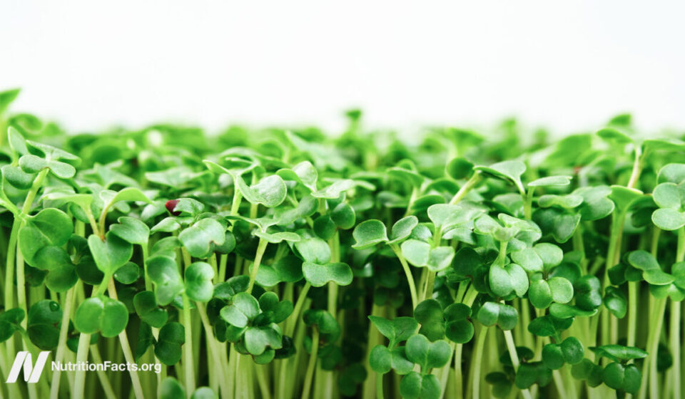 The Best Foods to Fight H. Pylori